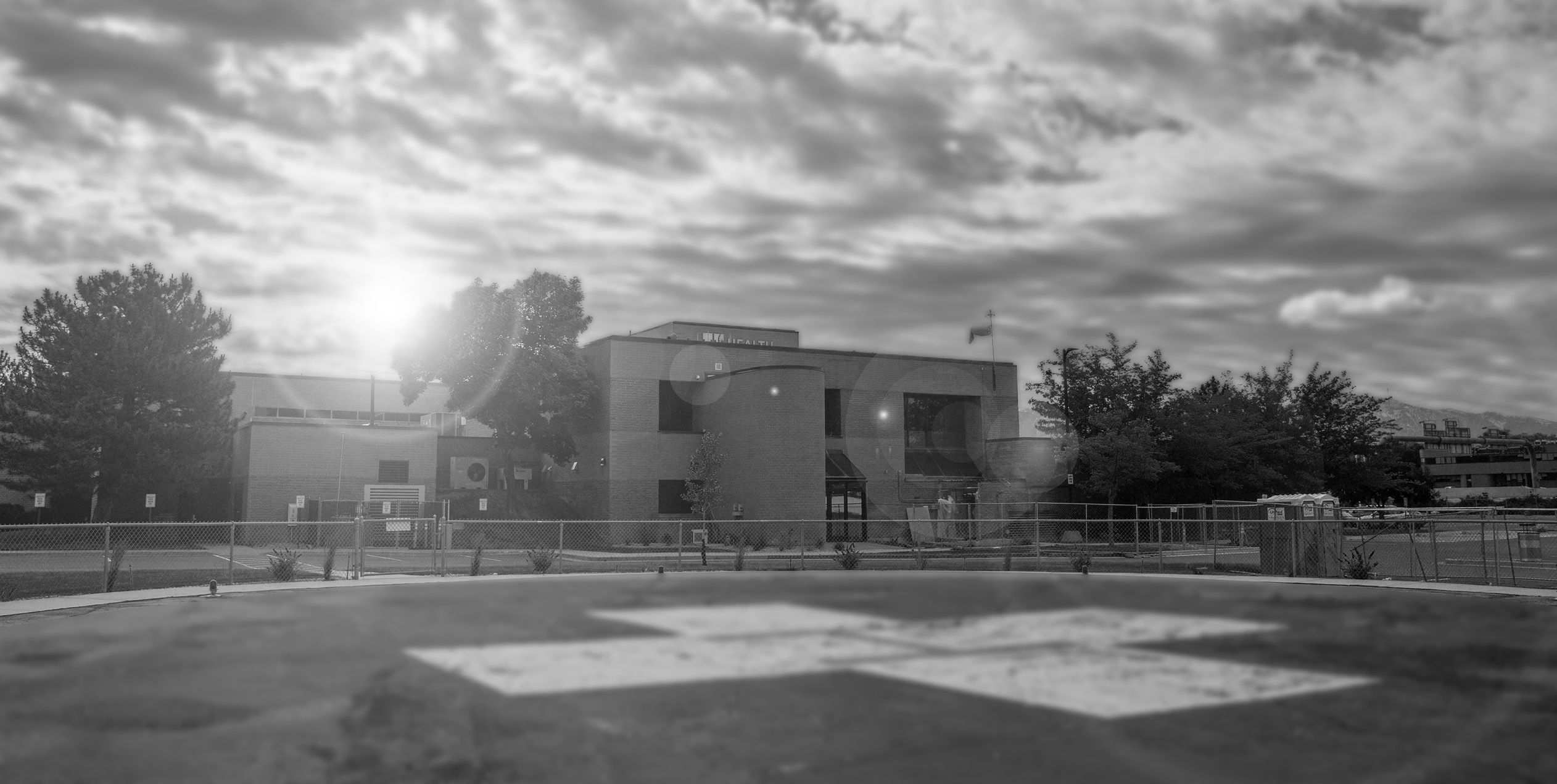 Redwood Center